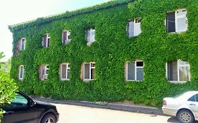 Hotel Lilo near Airport